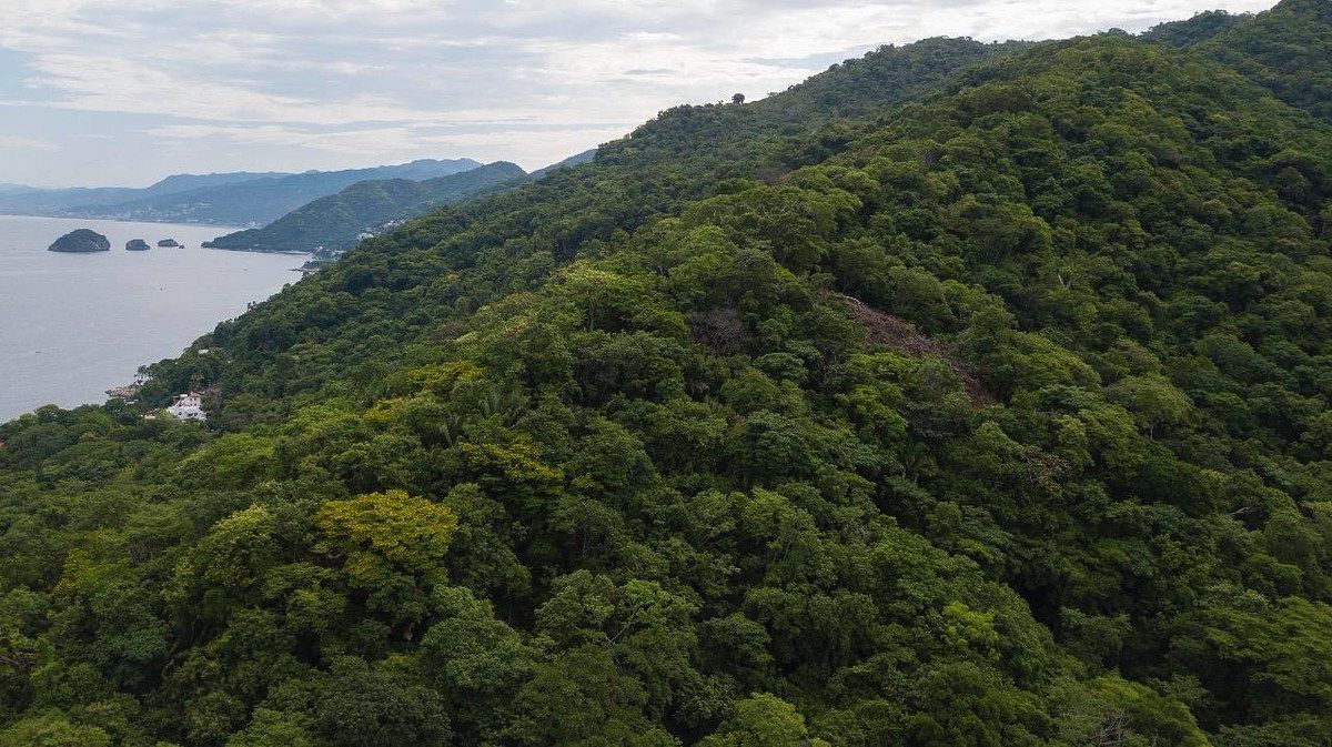 Terreno en Boca de Tomatlán, Puerto Vallarta, foto 4 de 29