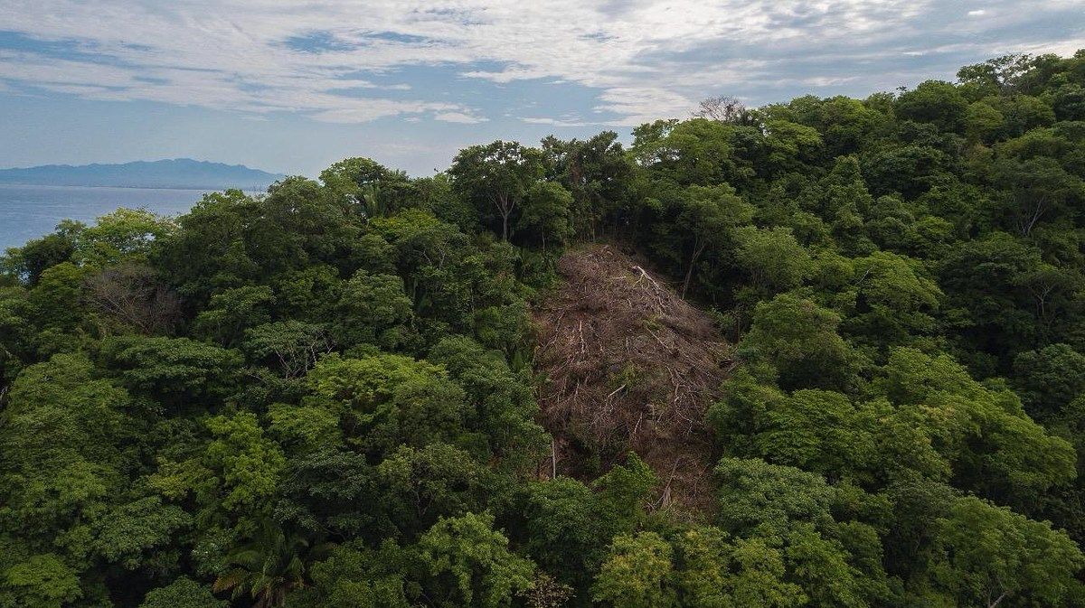 Terreno en Boca de Tomatlán, Puerto Vallarta, foto 5 de 29