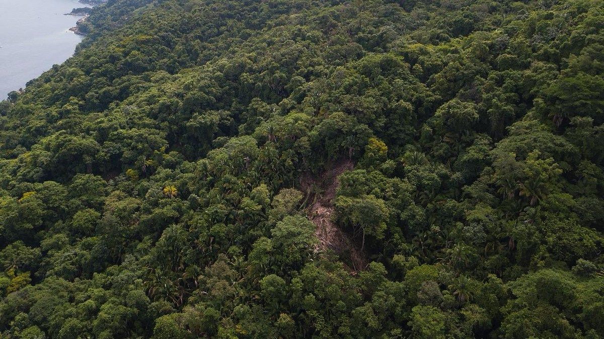 Terreno en Boca de Tomatlán, Puerto Vallarta, foto 21 de 29