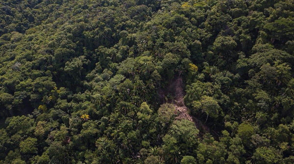 Terreno en Boca de Tomatlán, Puerto Vallarta, foto 22 de 29