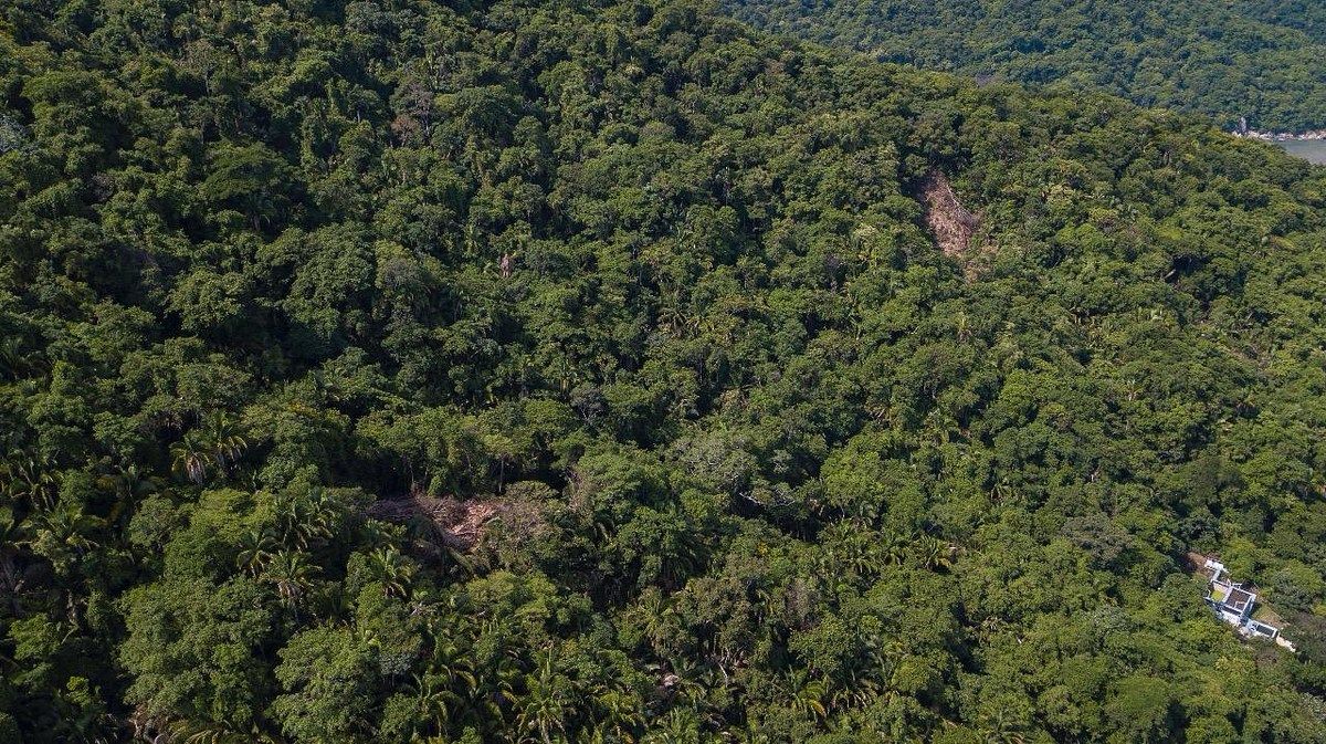 Terreno en Boca de Tomatlán, Puerto Vallarta, foto 26 de 29