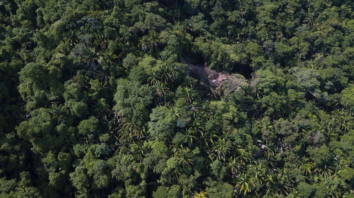 Terreno en Boca de Tomatlán, Puerto Vallarta, foto 29 de 29