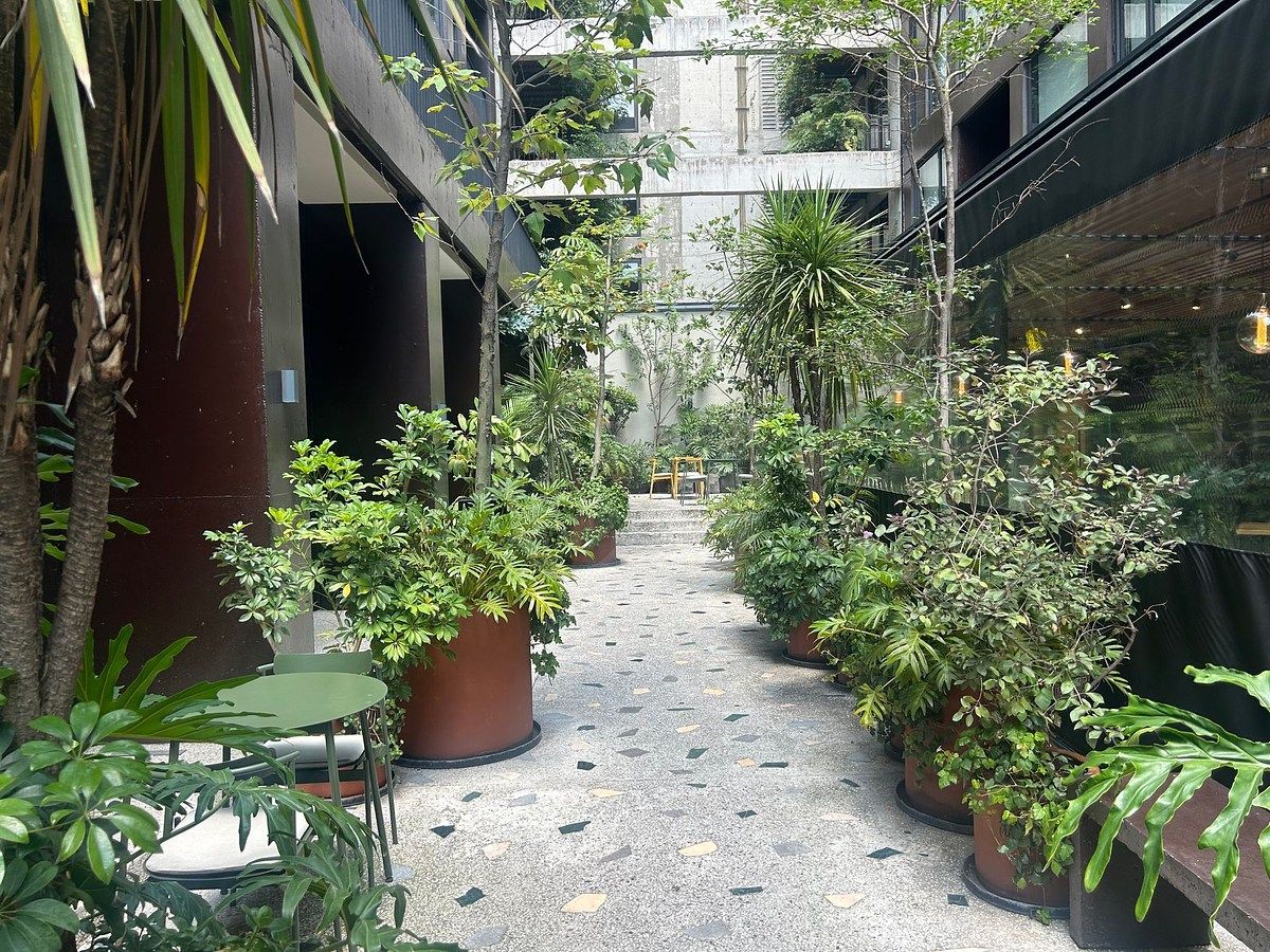 Apartamento em Roma Norte, Cuauhtémoc, foto 13 de 13