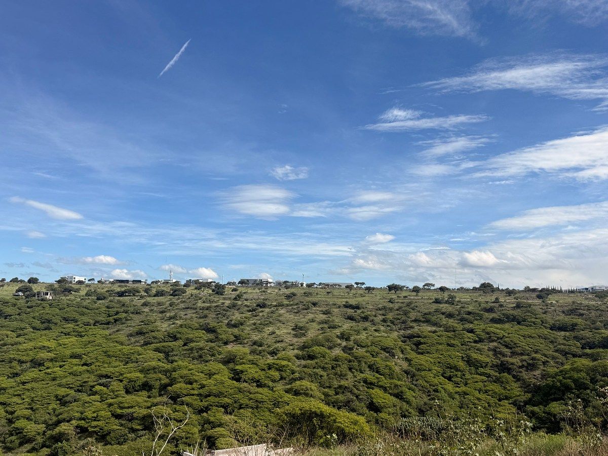 Vista a la Reserva, foto 25 de 29