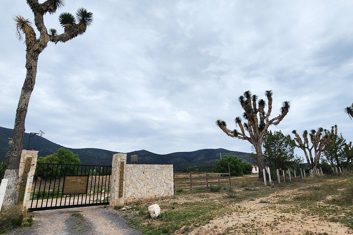Lotes Campestres en VENTA en Fracc. La Montaña