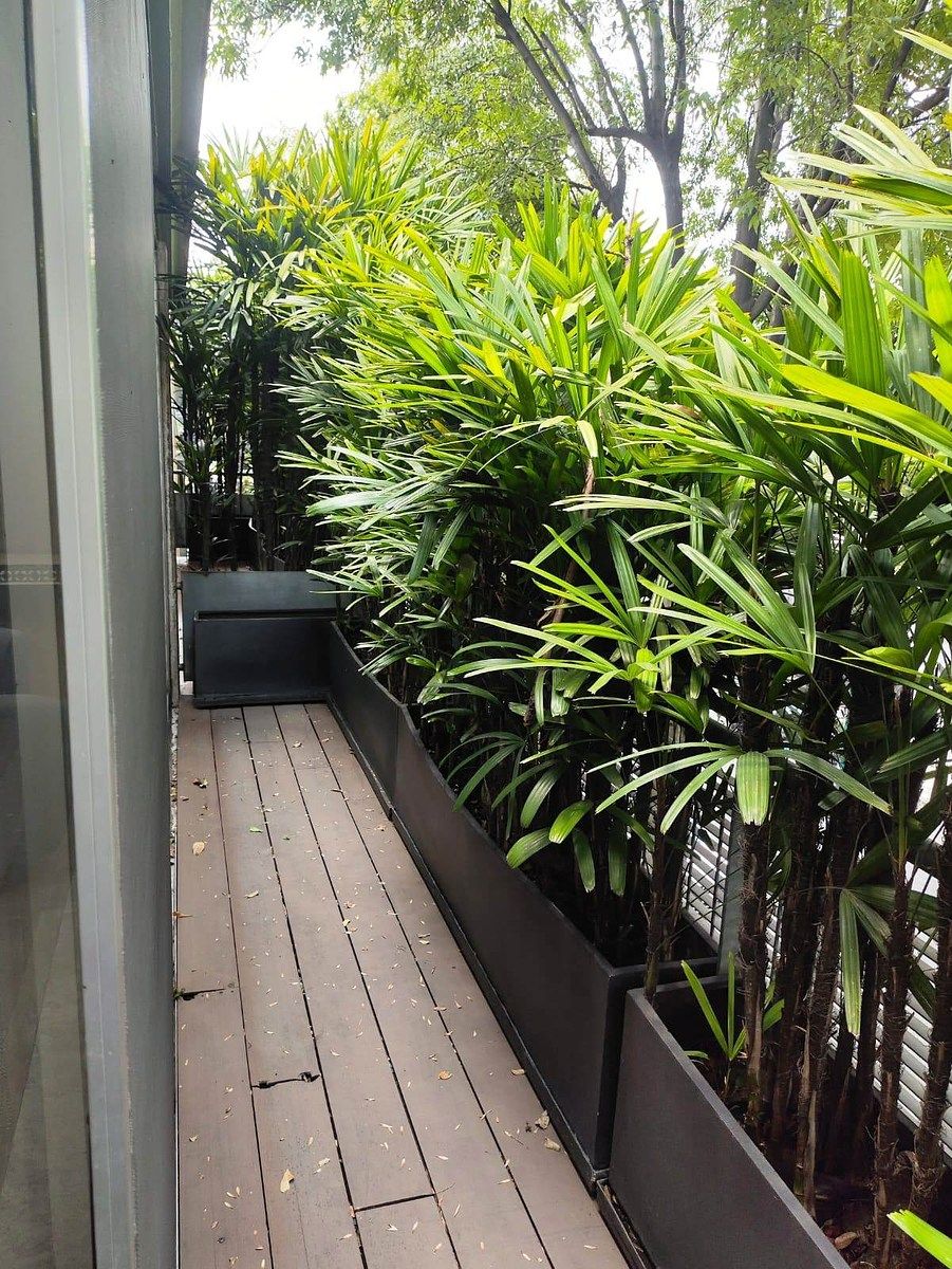 Departamento en Polanco IV Sección, Miguel Hidalgo, foto 18 de 44