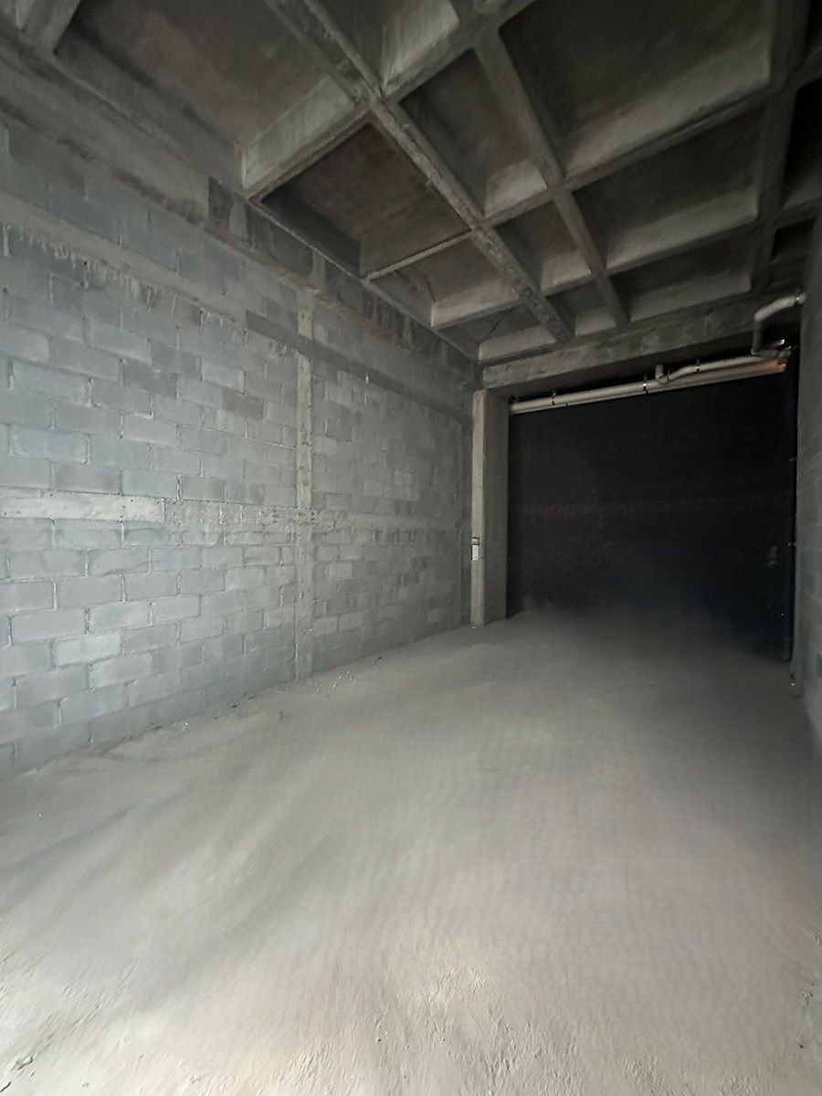 Retail Space in Del Valle, San Pedro Garza García, photo 14 of 21