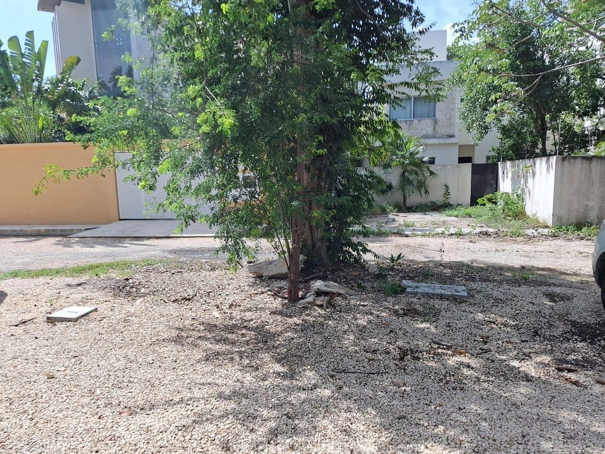 Local em La Veleta, Tulum, foto 5 de 24
