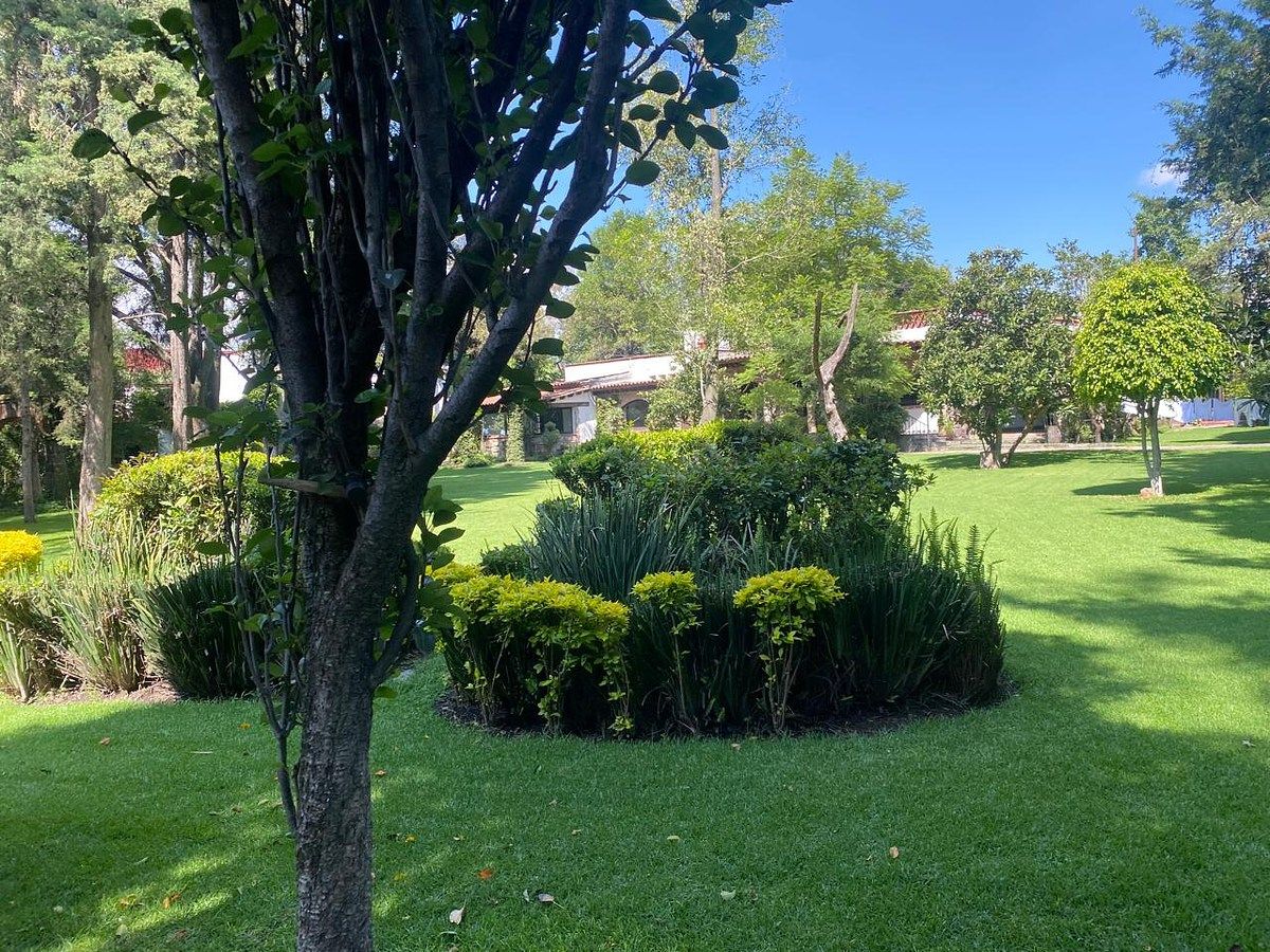 Lote em Toriello Guerra, Tlalpan, foto 2 de 8