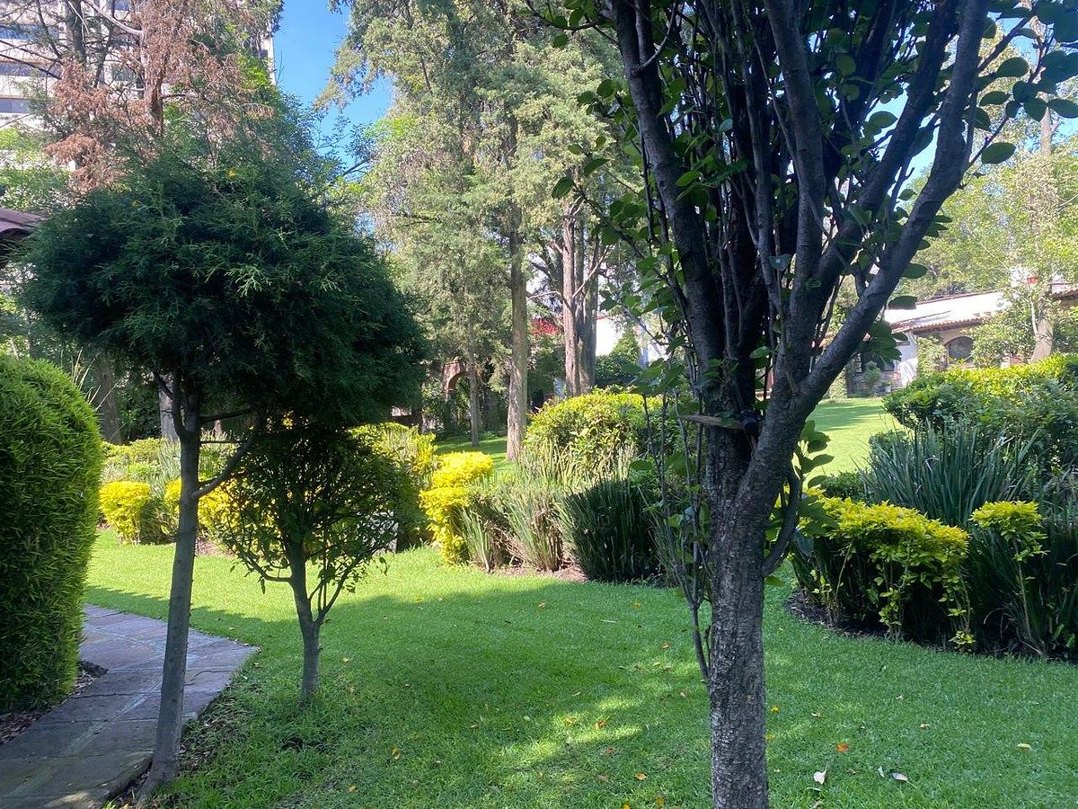 Lote em Toriello Guerra, Tlalpan, foto 3 de 8