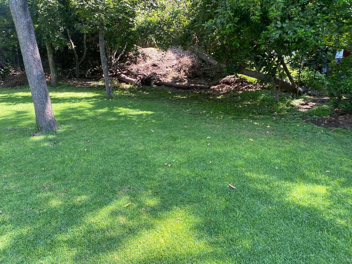 Lote em Toriello Guerra, Tlalpan, foto 4 de 8