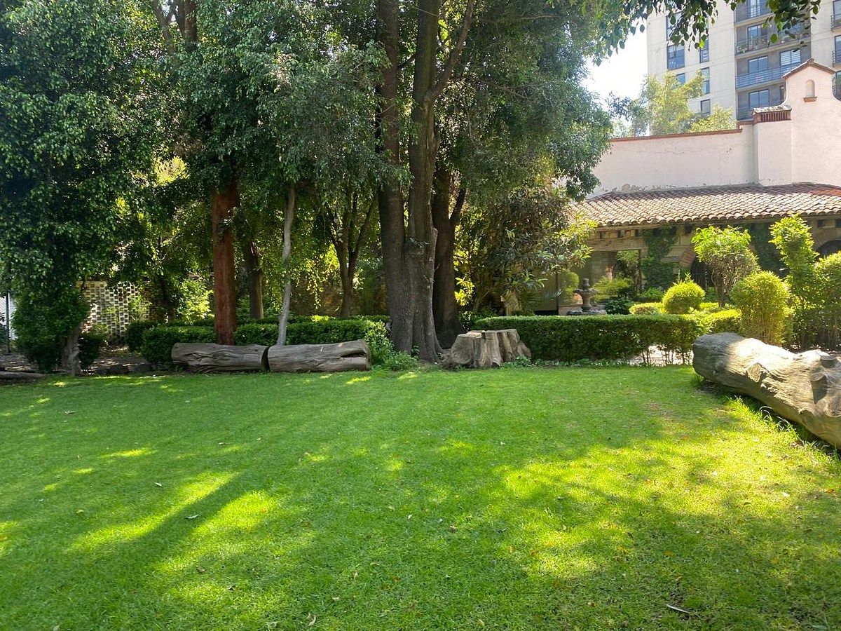 Lote em Toriello Guerra, Tlalpan, foto 7 de 8