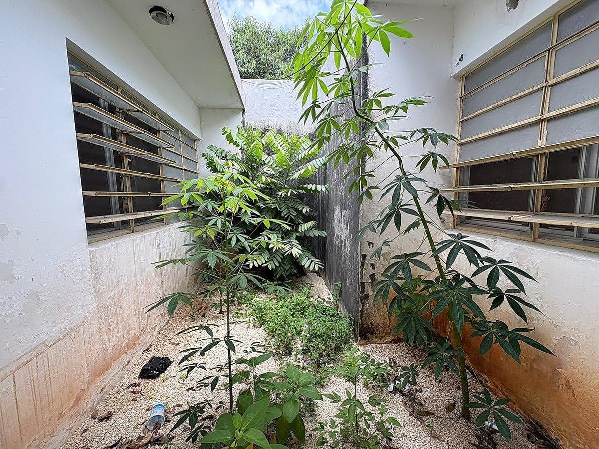 House in Mérida Centro, Mérida, photo 10 of 21