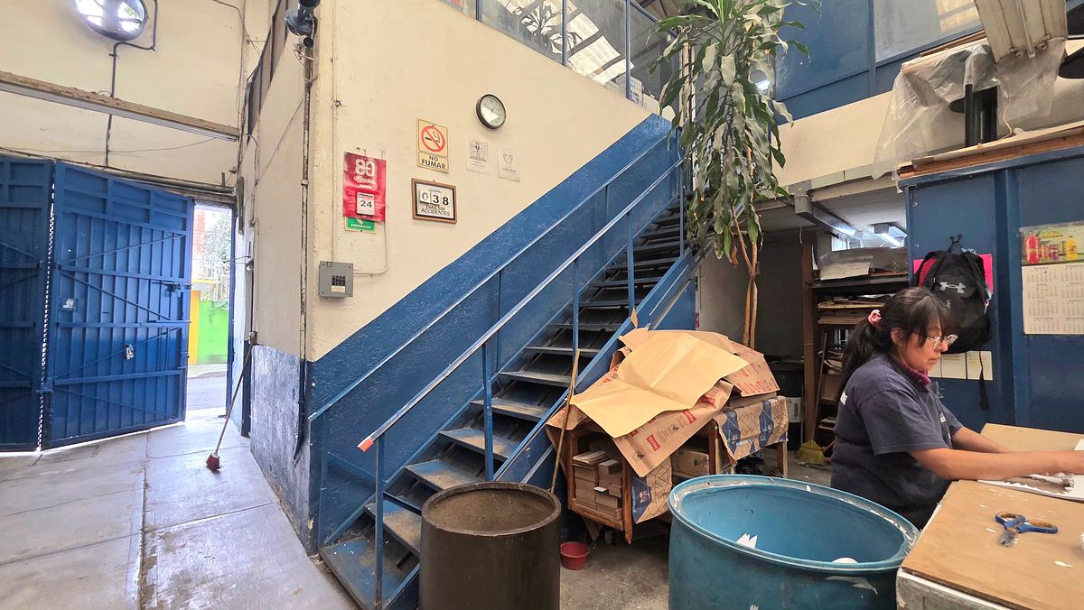 Commercial Storage Unit in Santa Cruz Atoyac, Benito Juárez, photo 19 of 22