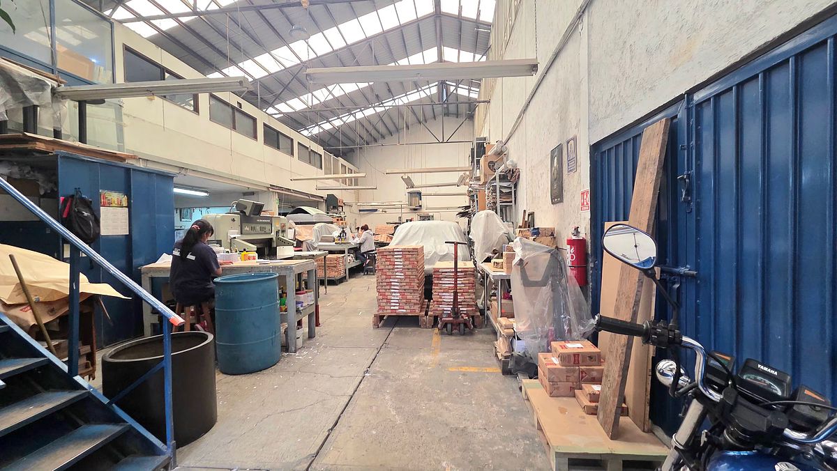 Commercial Storage Unit in Santa Cruz Atoyac, Benito Juárez, photo 7 of 22