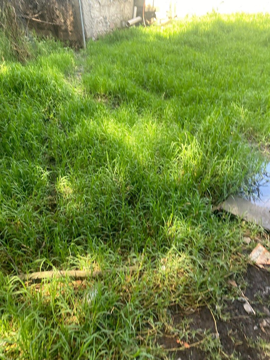 Terreno en Cuajimalpa, Cuajimalpa de Morelos, foto 2 de 3