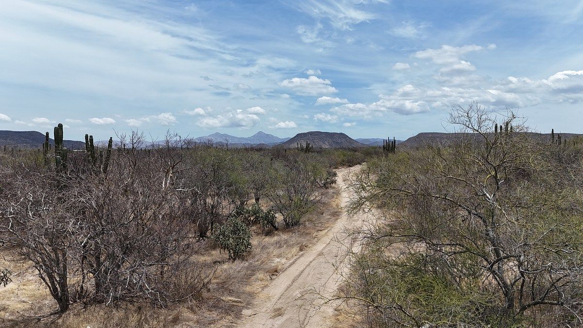 Lote em Calafia, La Paz, foto 4 de 4