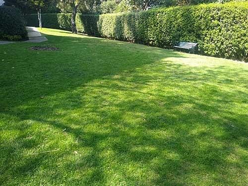 Departamento en Lomas de Vista Hermosa, Cuajimalpa de Morelos, foto 21 de 22