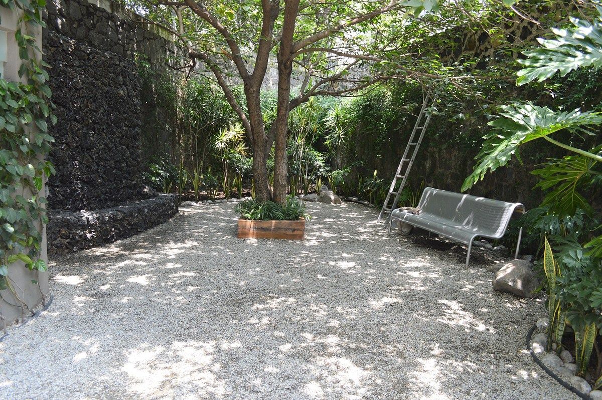 Jardín mascotas, foto 33 de 37
