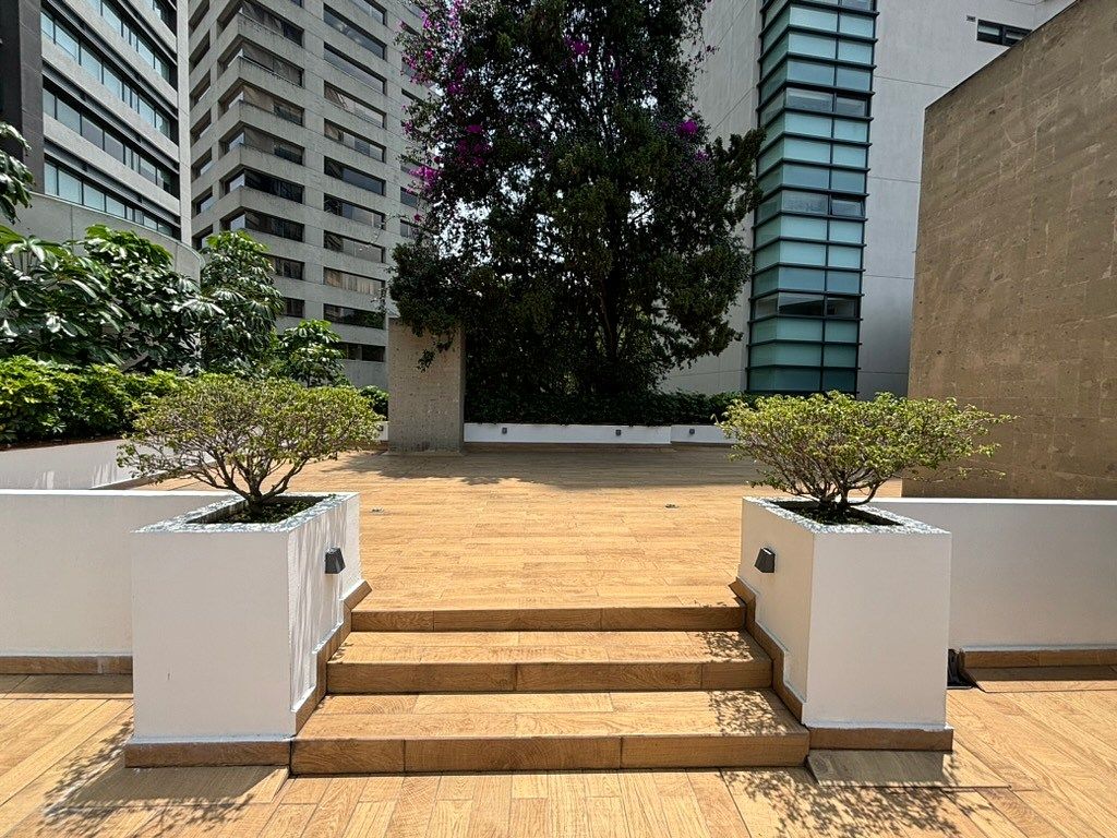 Terraza, foto 35 de 37