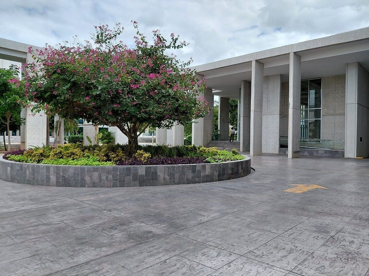 Retail Space in Mérida Centro, Mérida, photo 10 of 10