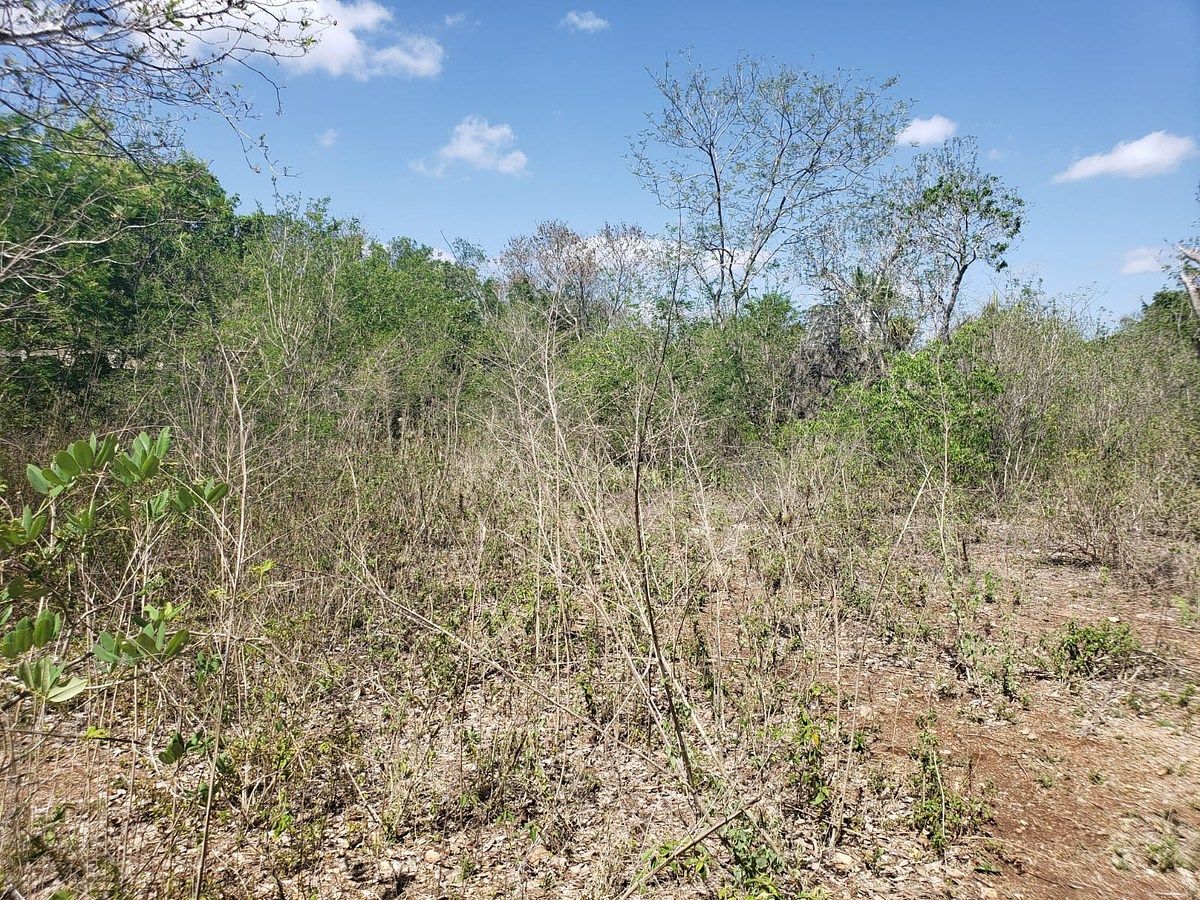 Lote em Motul de Carrillo Puerto Centro, Motul, foto 3 de 10