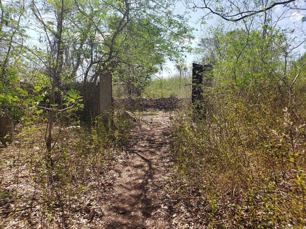 Terreno de 6,470 m2 en venta en Motul, Yucatán, foto 1 de 10
