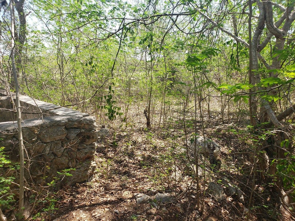 Lote em Motul de Carrillo Puerto Centro, Motul, foto 2 de 10