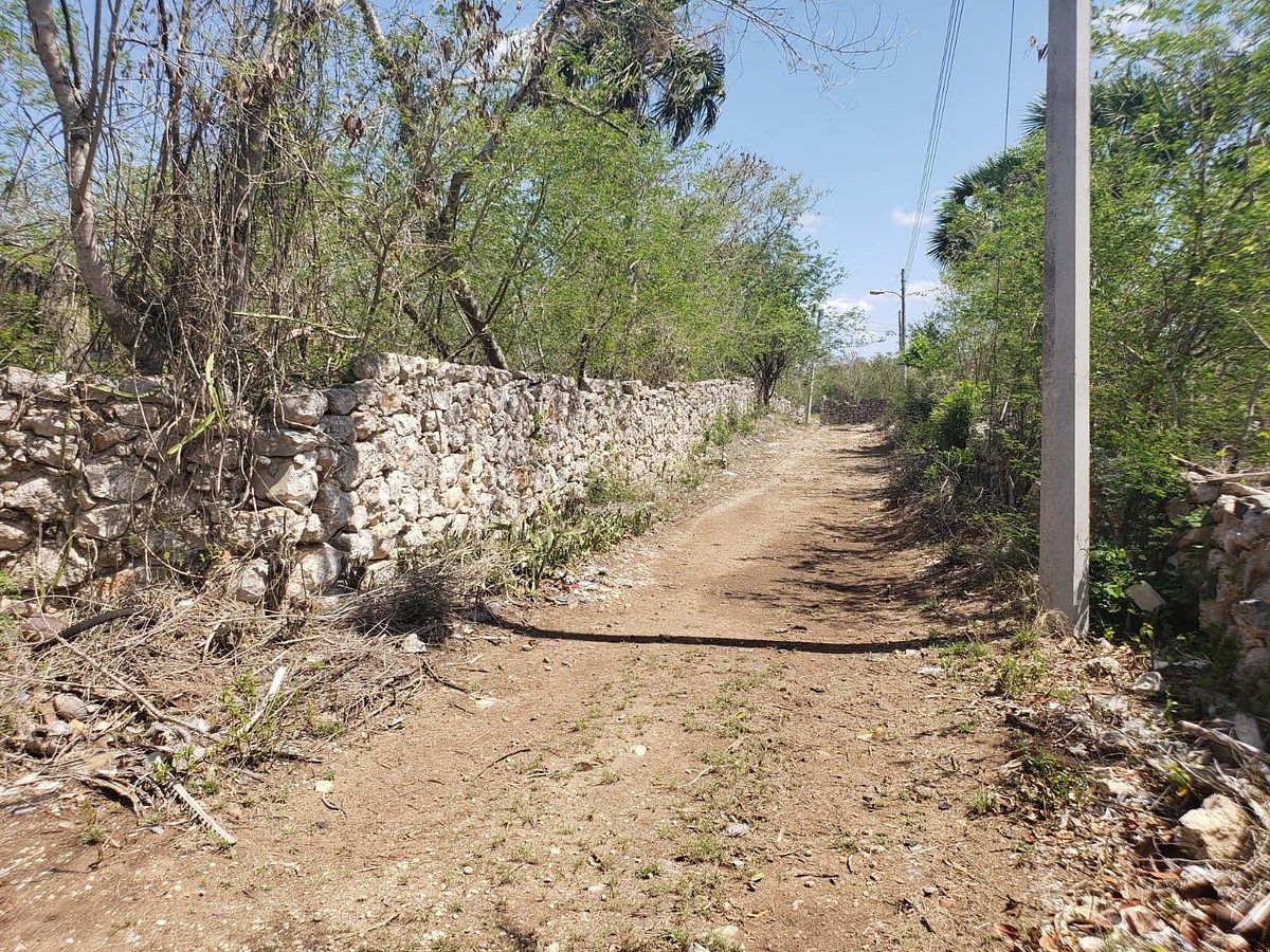 Lote em Motul de Carrillo Puerto Centro, Motul, foto 10 de 10