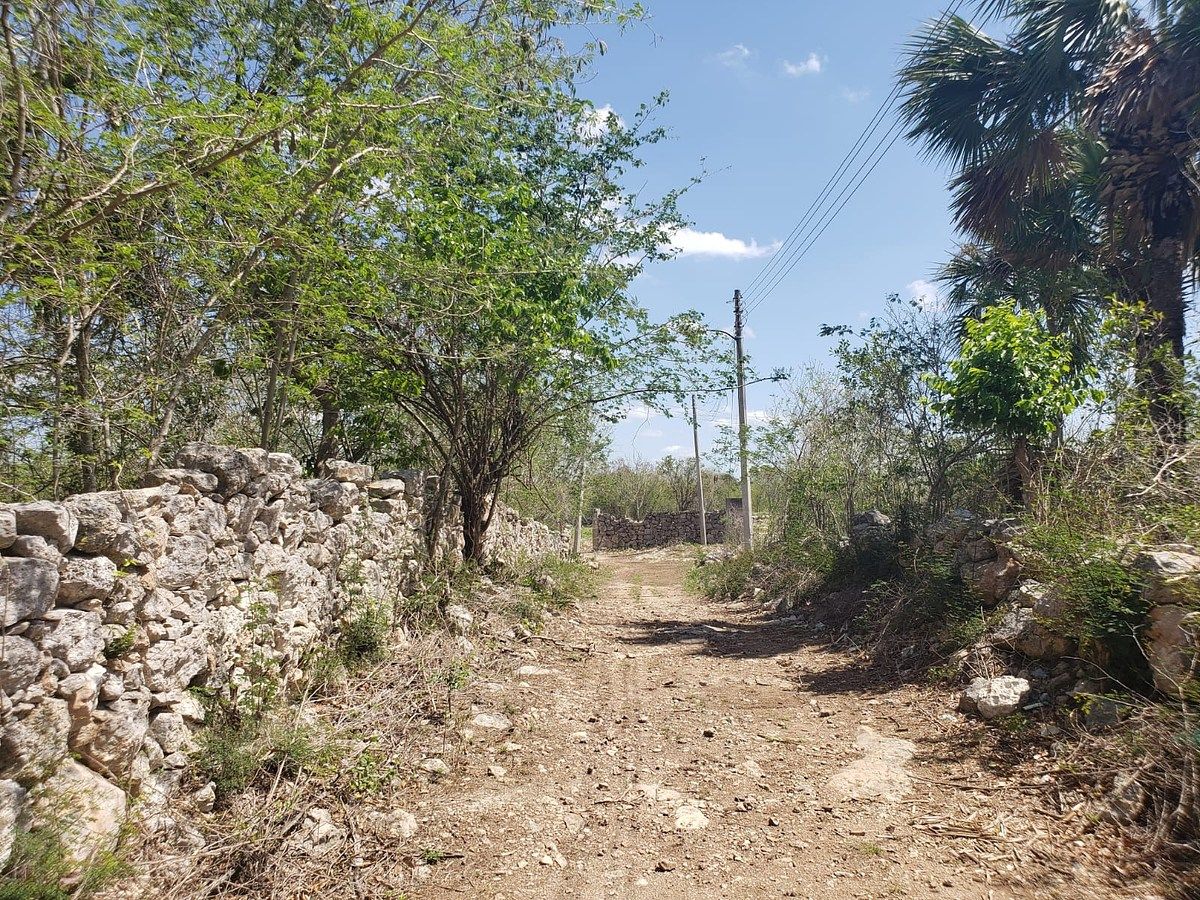 Lote em Motul de Carrillo Puerto Centro, Motul, foto 9 de 10