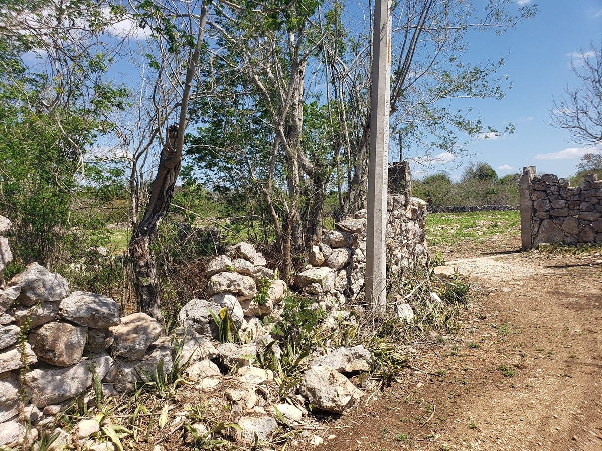 Lote em Motul de Carrillo Puerto Centro, Motul, foto 8 de 10