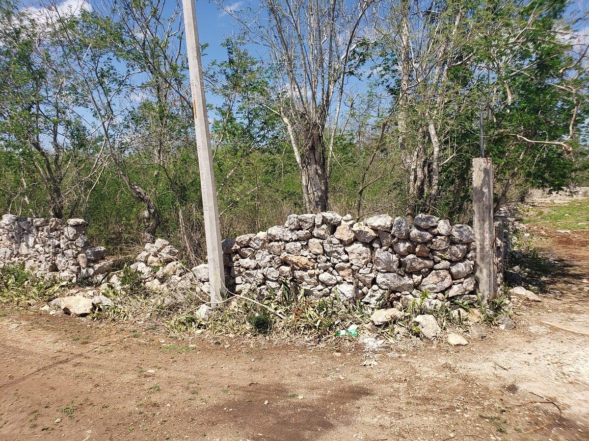 Lote em Motul de Carrillo Puerto Centro, Motul, foto 7 de 10