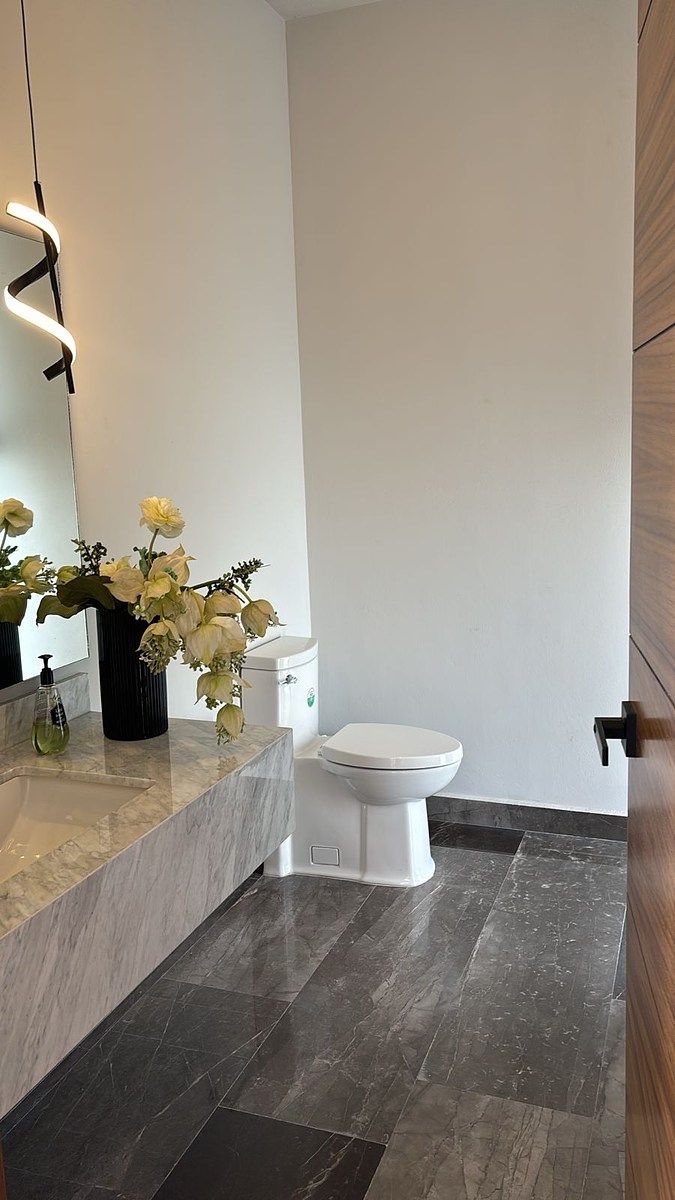 House in Gated Community in Haciendas San Acasio, Zapopan, photo 25 of 31