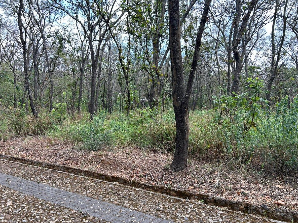 TERRENO EN VENTA EN LA RESERVA DE LOS ENCINOS, foto 1 de 21