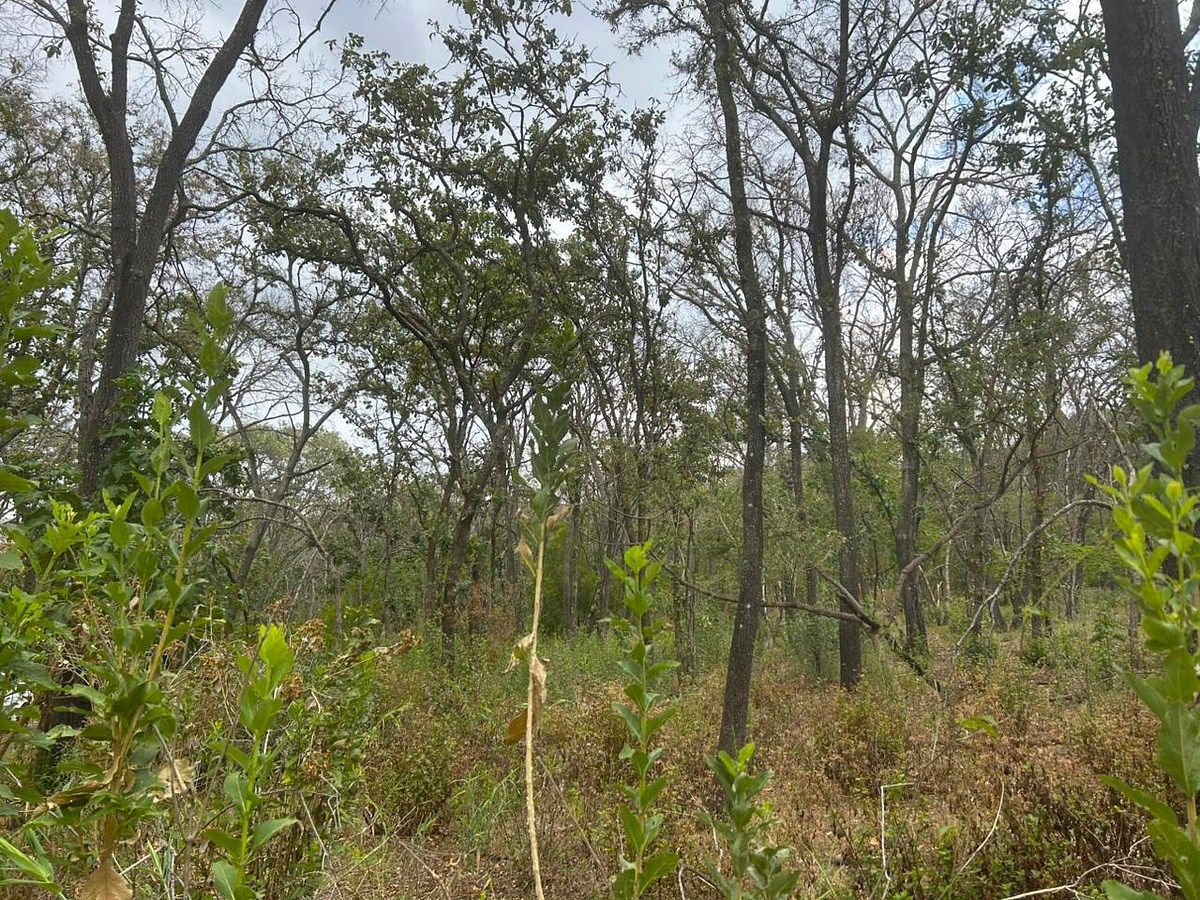Lote em Teuchitlán, Teuchitlán, foto 6 de 21