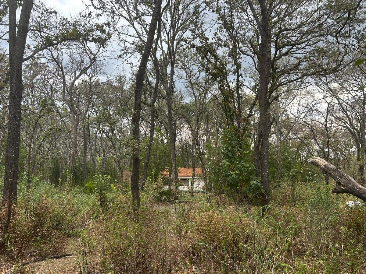 Lote em Teuchitlán, Teuchitlán, foto 5 de 21