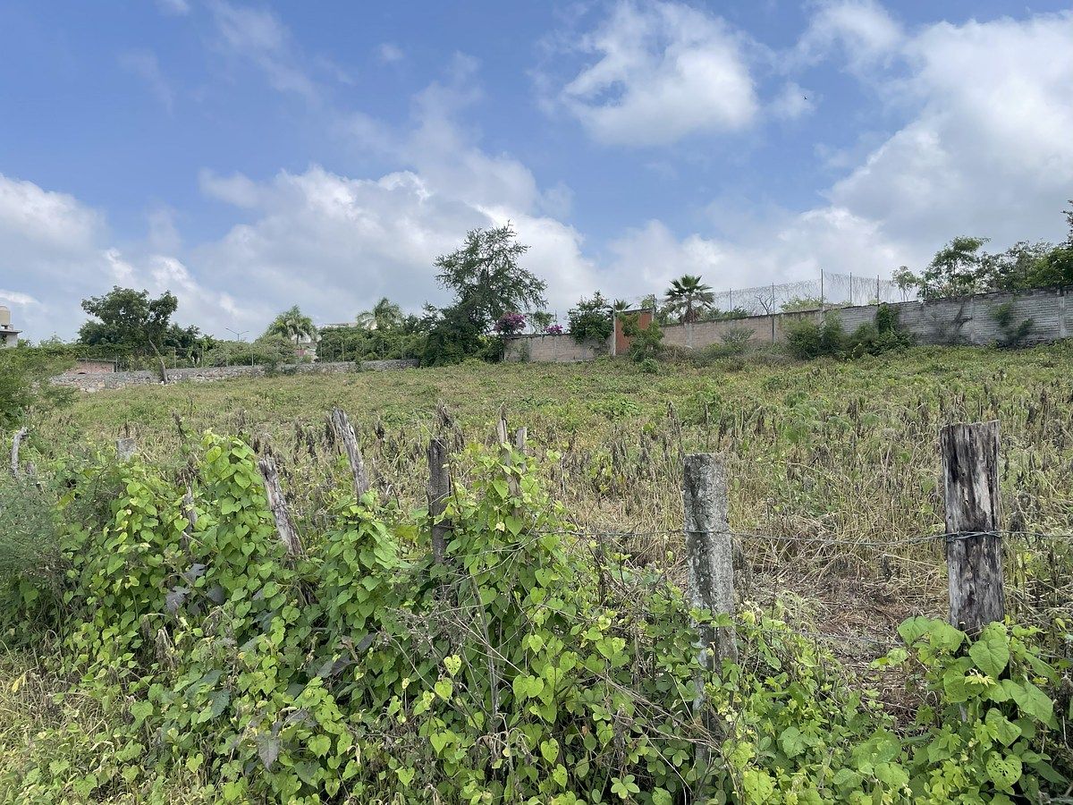 Lot in El Rodeo, Miacatlán, photo 5 of 7