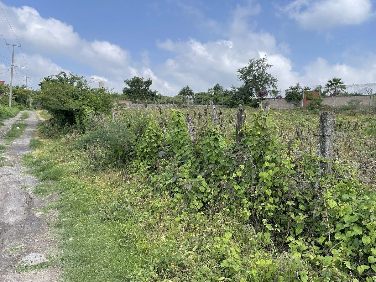 Lot in El Rodeo, Miacatlán, photo 6 of 7