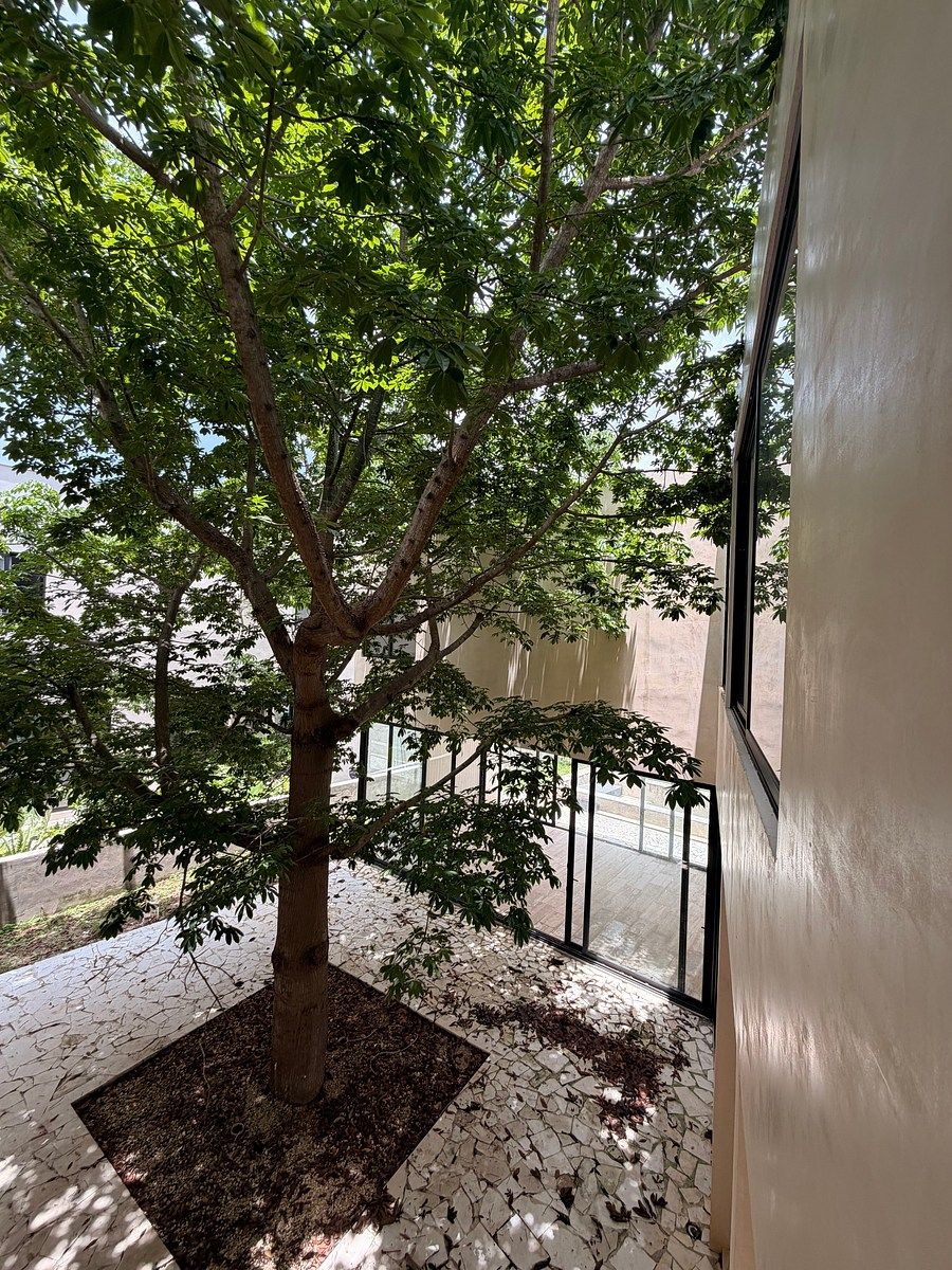 Casa em Yucatán Country Club, Mérida, foto 34 de 40