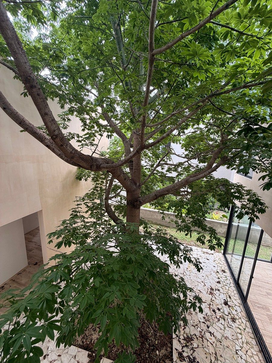 Casa em Yucatán Country Club, Mérida, foto 36 de 40