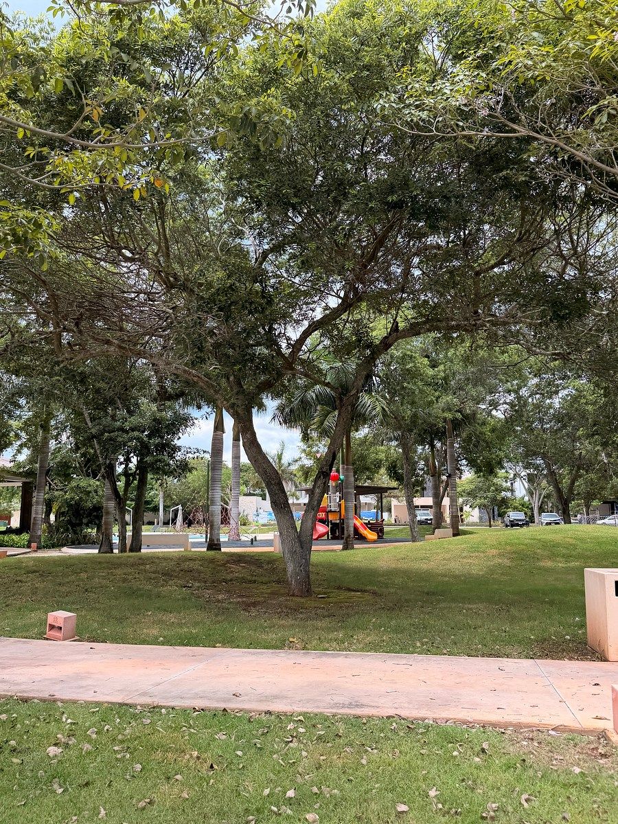 Casa em Yucatán Country Club, Mérida, foto 40 de 40