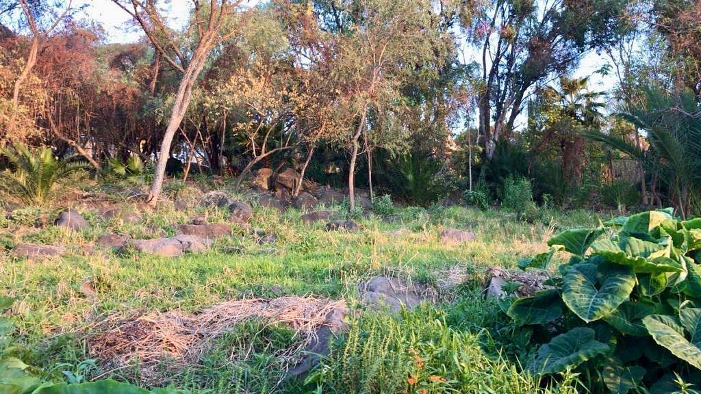 Terreno en venta, CLUB NAUTICO PUENTE VIEJO, foto 1 de 8