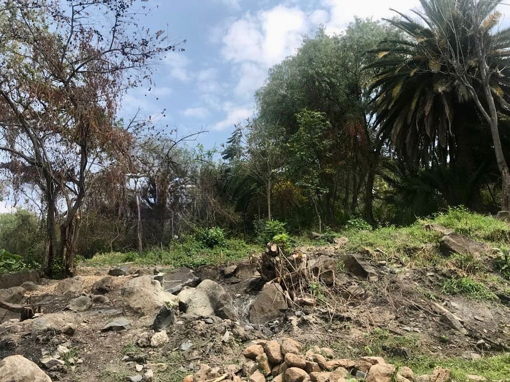 Terreno en El Seminario, El Salto, foto 4 de 8