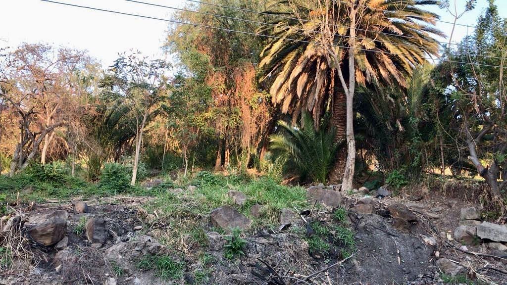 Terreno en El Seminario, El Salto, foto 5 de 8