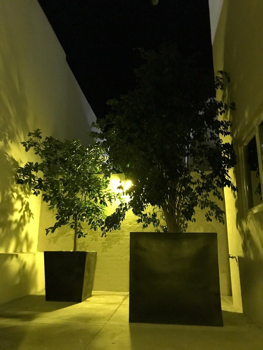Casa em Zibatá, El Marqués, foto 10 de 28