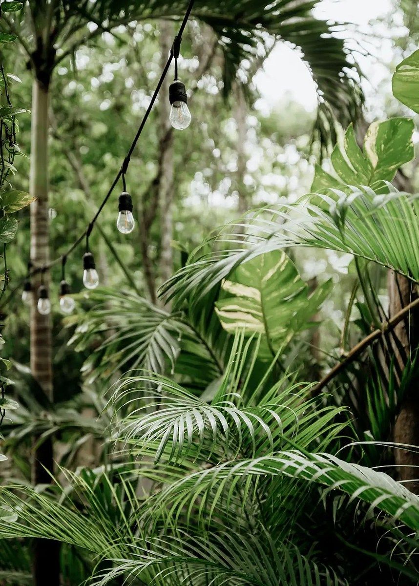 Casa en Carretera Tulum - Cancún, Tulum, foto 9 de 35