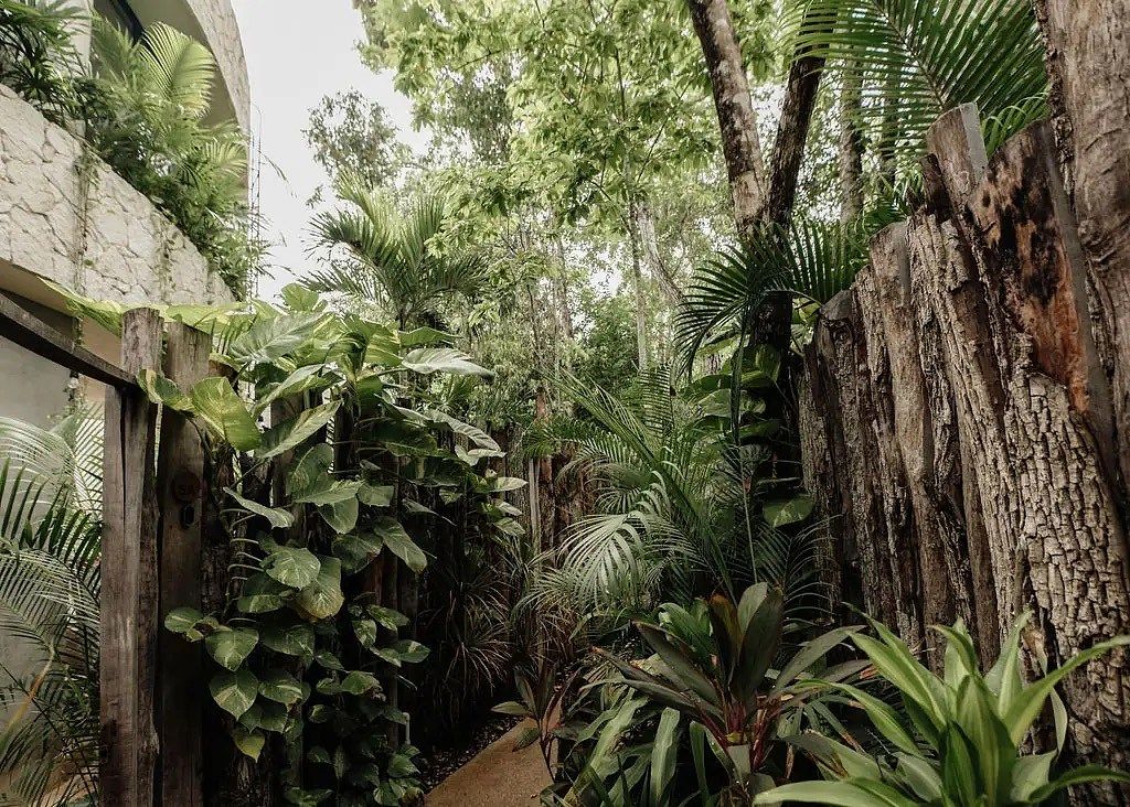Casa en Carretera Tulum - Cancún, Tulum, foto 12 de 35