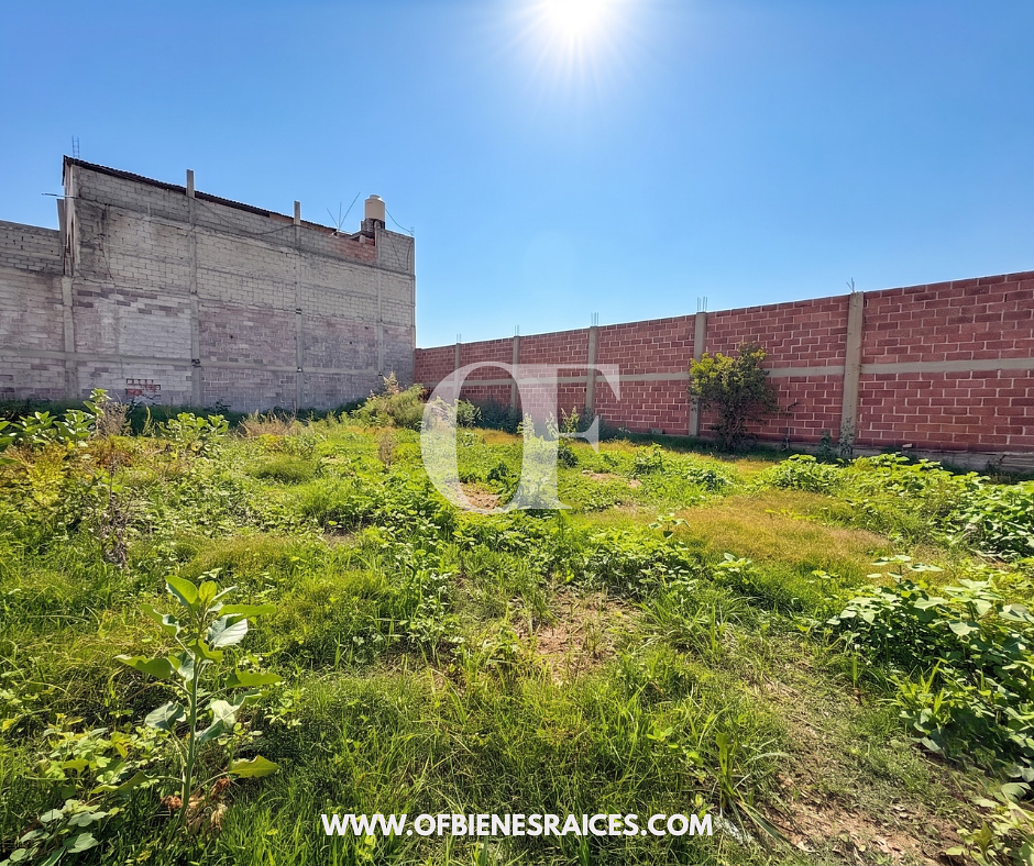 Terreno en San Pedro, Chiconcuac, foto 6 de 6