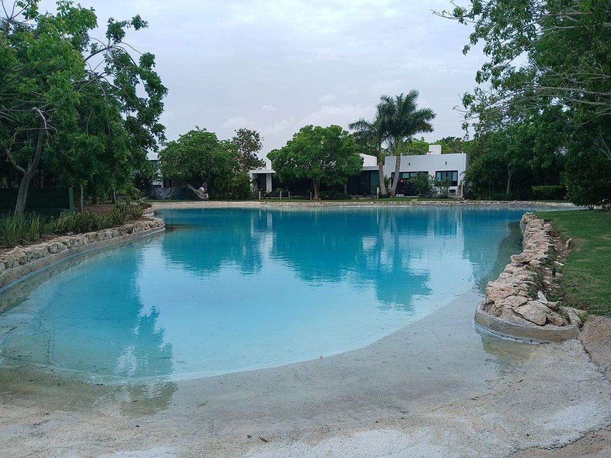 Lago de la privada, foto 6 de 6