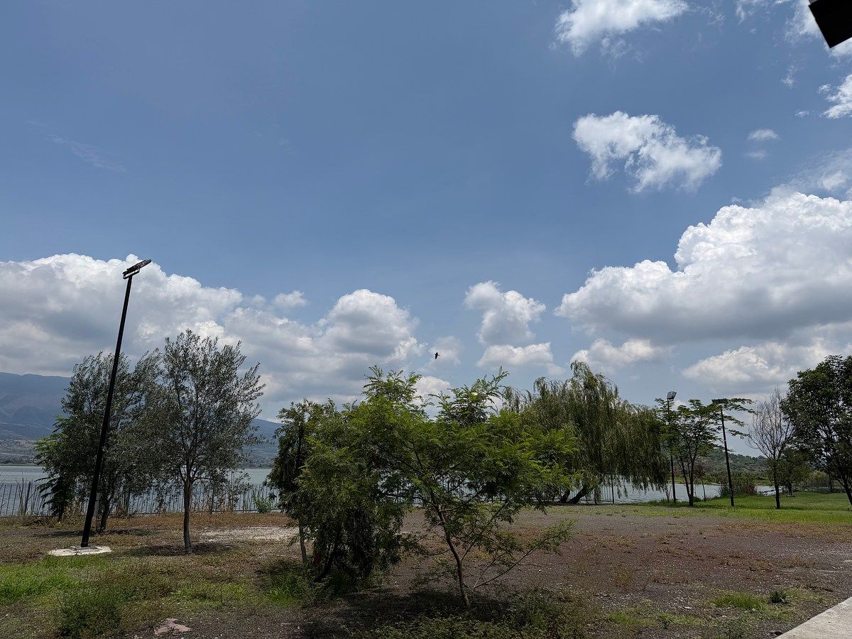 Terreno en Tres Reyes, Tlajomulco de Zúñiga, foto 10 de 20